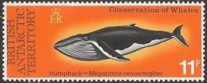 Colnect-3076-525-Humpback-Whale-Megaptera-novaeangliae.jpg