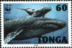 Colnect-3982-384-Humpback-whale-Megaptera-novaeangliae.jpg
