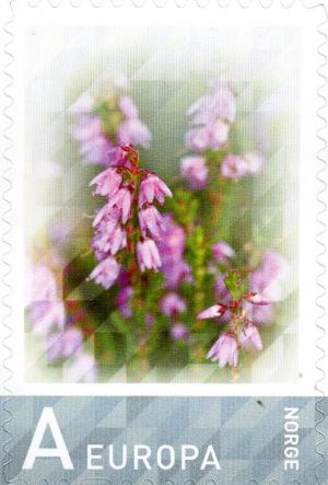 Colnect-4202-121-Personalised-Stamp---Heather.jpg