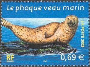 Colnect-551-281-Spotted-Seal-Phoca-vitulina-largha-.jpg