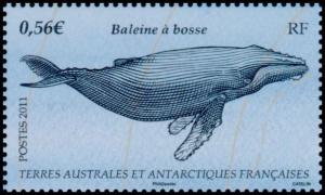 Colnect-889-534-Humpback-Whale-Megaptera-novaeangliae.jpg