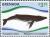 Colnect-2997-918-Humpback-Whale-Megaptera-novaeangliae.jpg