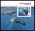 Colnect-7220-442-Humpback-Whale-Megaptera-novaeangliae.jpg