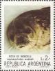 Colnect-1607-227-Weddell-Seal-Leptonychetes-weddelli.jpg