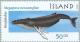 Colnect-165-396-Humpback-Whale-Megaptera-novaeangliae.jpg