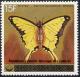 Colnect-2150-663-African-Swallowtail-Papilio-dardanus.jpg