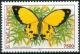 Colnect-2548-775-African-Swallowtail-Papilio-dardanus.jpg