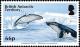 Colnect-3521-053-Humpback-Whale-Megaptera-novaeangliae.jpg