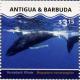 Colnect-3674-892-Humpback-Whale-Megaptera-novaeangliae.jpg