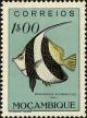 Colnect-4563-970-Pennant-Coralfish-Heniochus-acuminatus.jpg