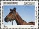 Colnect-5450-644-Horse-Equus-ferus-caballus--bdquo-Dubai-Millennium-ldquo-.jpg