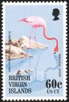 Colnect-3077-184-American-Flamingo-Phoenicopterus-ruber.jpg