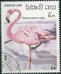 Colnect-1109-761-Caribbean-Flamingo-Phoenicopterus-ruber.jpg