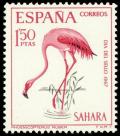 Colnect-1388-356-American-Flamingo-Phoenicopterus-ruber.jpg