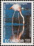 Colnect-1712-913-American-Flamingo-Phoenicopterus-ruber.jpg