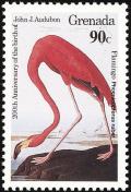 Colnect-1920-957-American-Flamingo-Phoenicopterus-ruber.jpg