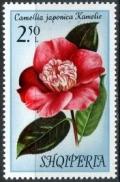 Colnect-2820-332-Japanese-camellia-Camellia-japonica.jpg