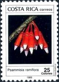 Colnect-5403-816-Psammisia-ramiflora.jpg