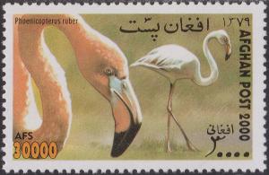 Colnect-1438-164-American-Flamingo-Phoenicopterus-ruber.jpg