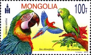 Colnect-2253-276-Blue-fronted-Amazon-Amazona-aestiva-Red-and-green-Macaw-.jpg