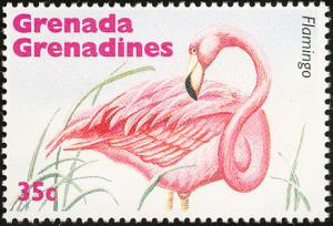 Colnect-2949-628-American-Flamingo-Phoenicopterus-ruber.jpg