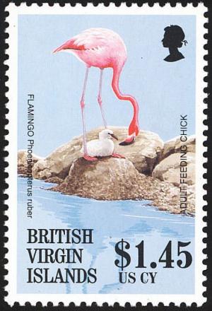 Colnect-3078-668-American-Flamingo-Phoenicopterus-ruber.jpg