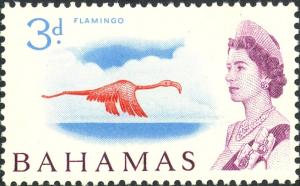 Colnect-4398-435-Caribbean-Flamingo-Phoenicopterus-ruber.jpg