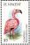 Colnect-1755-629-American-Flamingo-Phoenicopterus-ruber.jpg