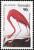 Colnect-1920-957-American-Flamingo-Phoenicopterus-ruber.jpg