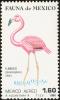 Colnect-3613-541-American-Flamingo-Phoenicopterus-ruber.jpg