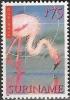 Colnect-2021-062-American-Flamingo-Phoenicopterus-ruber.jpg