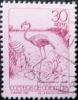 Colnect-2942-594-American-Flamingo-Phoenicopterus-ruber.jpg