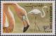 Colnect-1438-164-American-Flamingo-Phoenicopterus-ruber.jpg