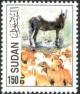 Colnect-1698-759-Domestic-Sheep-Ovis-ammon-aries-Donkey-Equus-asinus-asin.jpg
