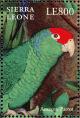 Colnect-2194-138-Red-crowned-Amazon-Amazona-viridigenalis.jpg