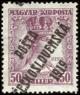 Colnect-542-119-Hungarian-Stamps-from-1918-overprinted.jpg