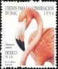 Colnect-1491-497-American-Flamingo-Phoenicopterus-ruber.jpg