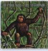 Colnect-1324-071-Chimpanzee-Pan-troglodytes.jpg