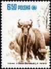 Colnect-1997-632-European-Bison-Bison-bonasus.jpg