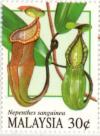 Colnect-2005-592-Pitcher-Plants--Nephentes-sanguinea.jpg