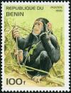 Colnect-2094-508-Chimpanzee-Pan-troglodytes.jpg