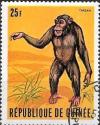 Colnect-2584-541-Chimpanzee-Pan-troglodytes.jpg