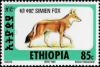 Colnect-2774-754-Ethiopian-Wolf-Canis-simensis.jpg