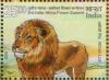 Colnect-3116-979-African-Lion-Panthera-leo.jpg