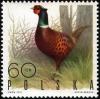 Colnect-3607-522-Common-Pheasant-nbsp-Phasianus-colchicus.jpg