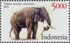 Colnect-3752-973-Sumatran-Elephant-Elephas-maximus-sumatranus.jpg