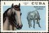 Colnect-4828-595-Tarpan-Equus-ferus-ferus.jpg