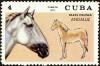 Colnect-4828-599-Andalusian-Equus-ferus-caballus.jpg