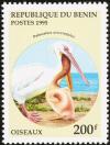 Colnect-591-245-Rosy-Pelican-Pelecanus-onocrotalus.jpg