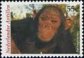 Colnect-1018-829-Chimpanzee-Pan-troglodytes.jpg